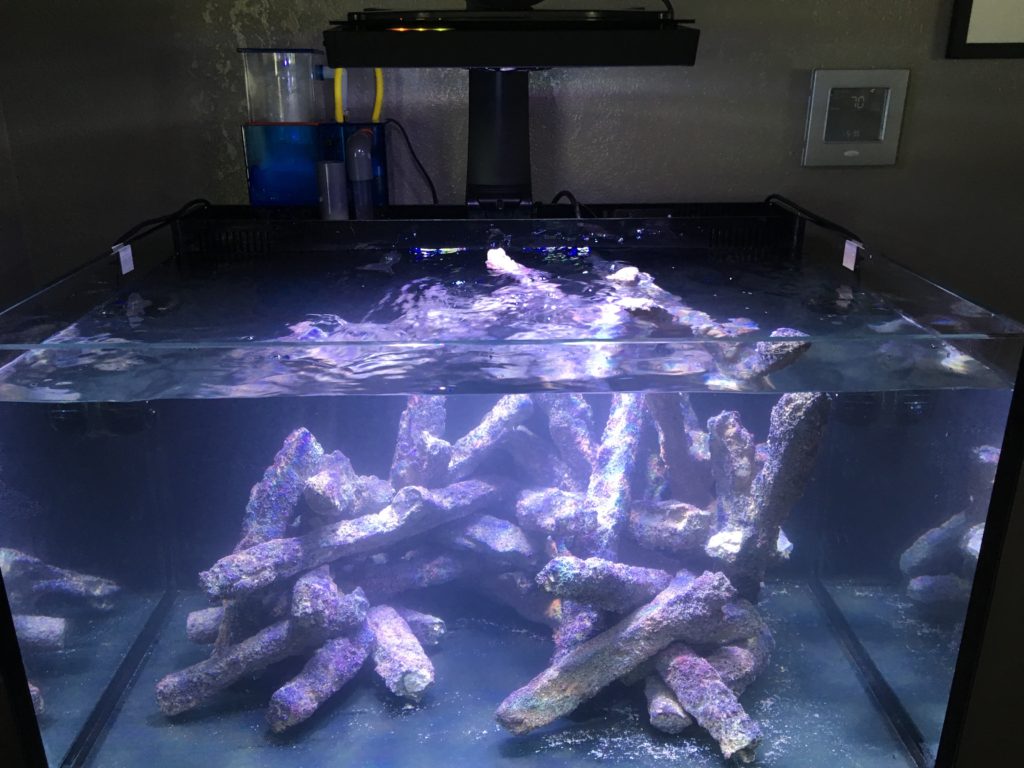 The live rock's initial arrangement in my 50Gallon lagoon