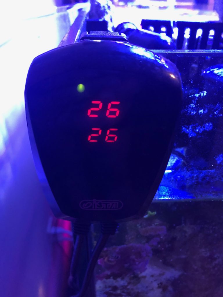 Aquarium thermostat with heater