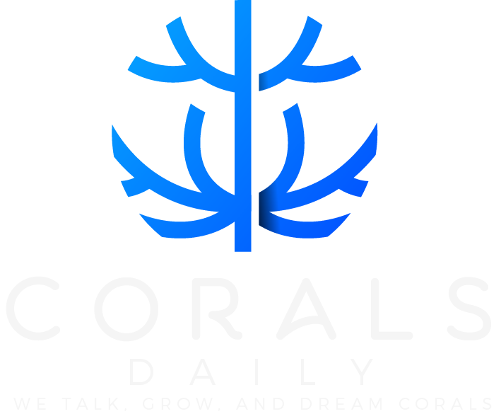 We Talk, Grow, and Dream Corals