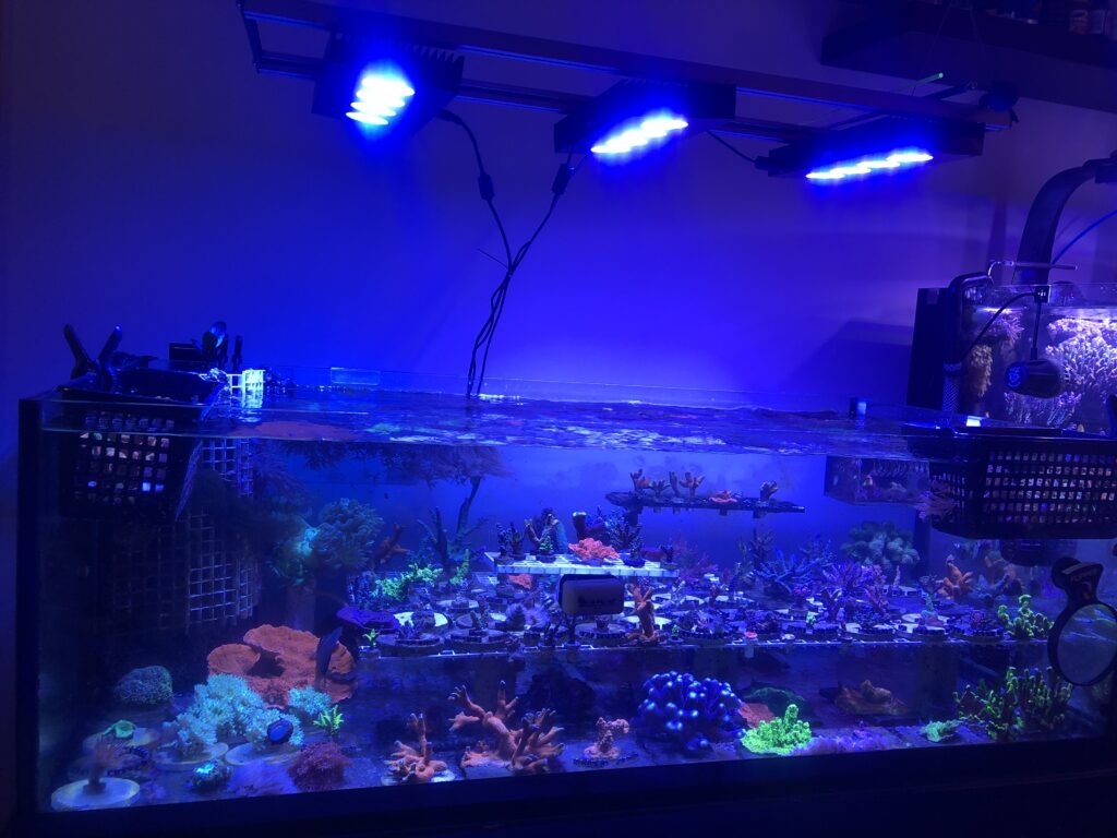 Tank Update