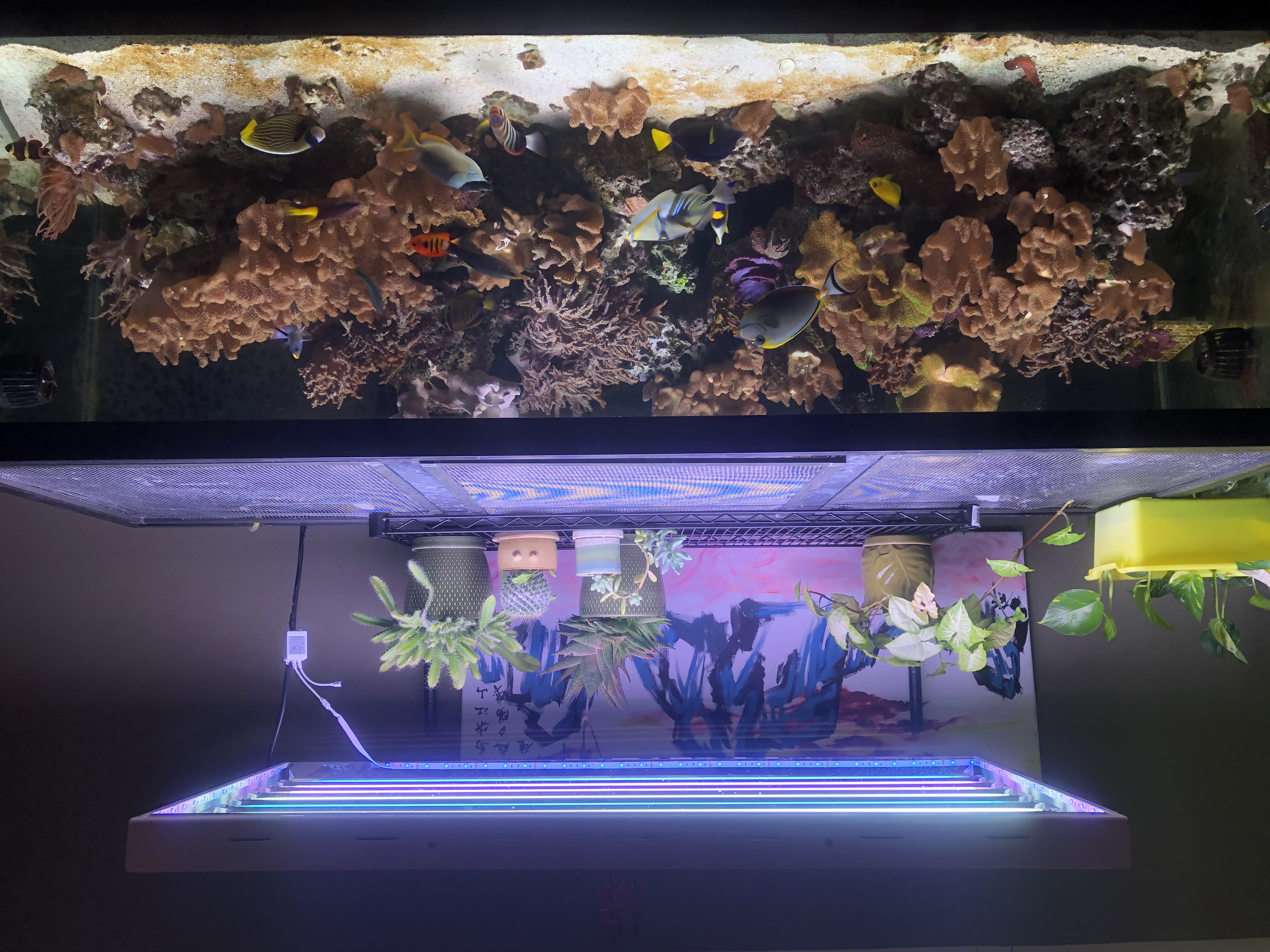 Plants over 180 gallon tank